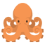 octopus